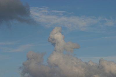 g13/17/378517/3/175465793.afff9270.JPEG
