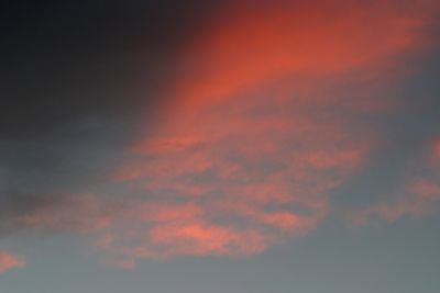 g13/17/378517/3/175466475.d667576c.JPEG