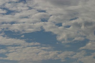 g13/17/378517/3/175466478.8d2fa256.JPEG