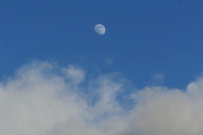g13/17/378517/3/175466482.1d409018.JPEG