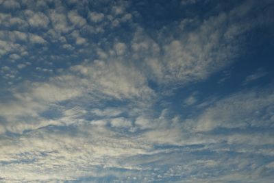 g13/17/378517/3/175468192.ff0321e1.JPEG