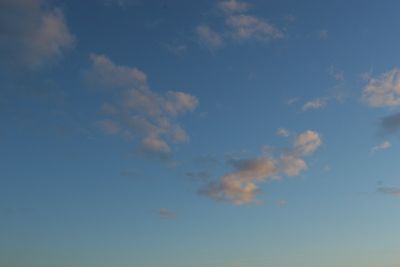 051113_030w.JPG
