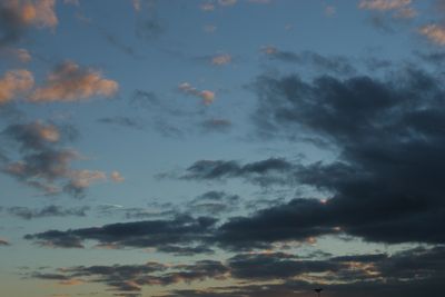 051113_035w.JPG