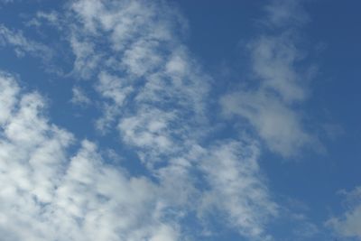 051118_003w.JPG