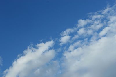 051118_004w.JPG