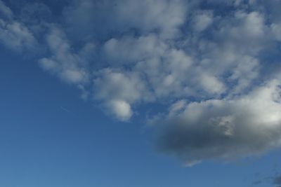 051118_008w.JPG