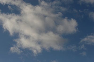 051118_021w.JPG