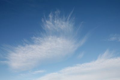 051225_009w.JPG