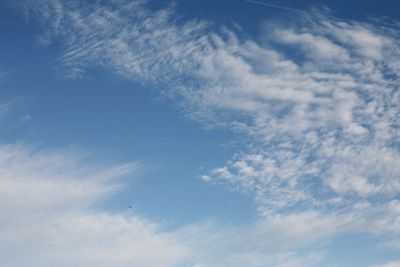 051225_014w.JPG