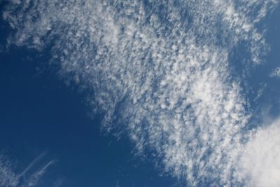 051225_021w.JPG