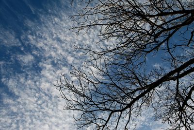 051225_024w.JPG