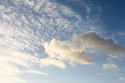 051225_028w.JPG