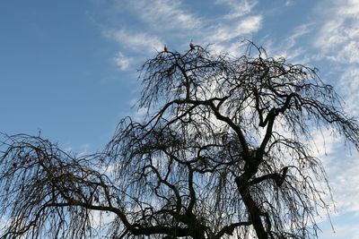 051225_030w.JPG