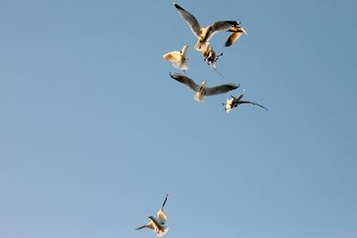 060114_061w.JPG