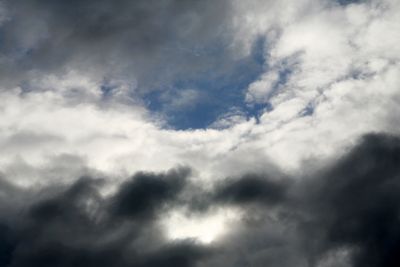 060125_020w.JPG