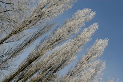 060201_011w.JPG