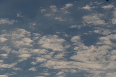 060525_004w.JPG