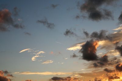 060904_036w.JPG