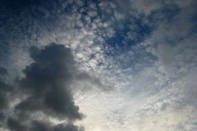 141020_501w.JPG
