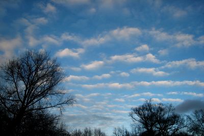 150113_501w.JPG