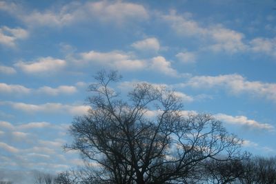 150113_502w.JPG