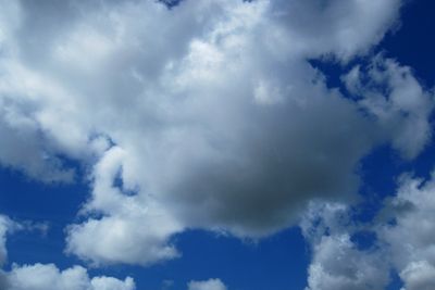 160424_502w.JPG