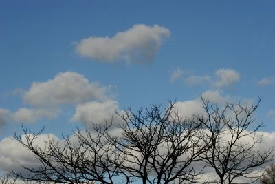 looking_up