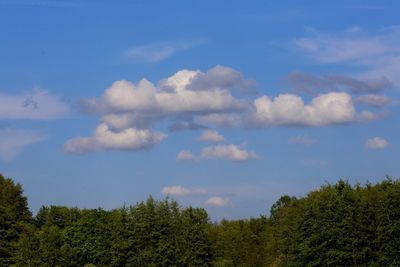 220511_021w.JPG