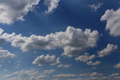 220628_009w.JPG