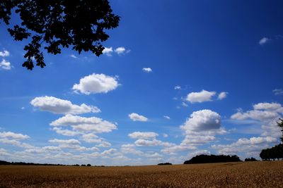 220715_003w.JPG