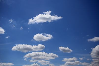 220715_005w.JPG