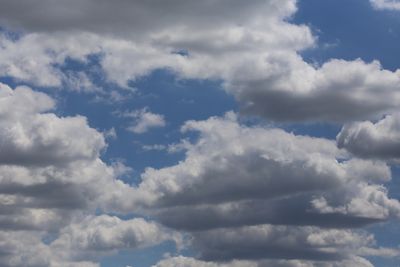 220715_012w.JPG