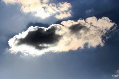 241004_080w.JPG