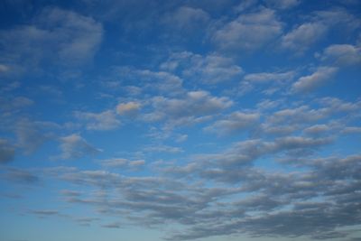 241011_212w.JPG