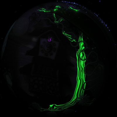 g13/17/390417/3/173421204.de492e60.JPEG
