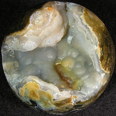 2.18: Agatized Petrified Wood w/ Botryoidal - Indonesia