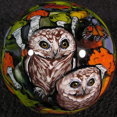 #113 - Robert Koch and Stephen Boehme