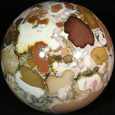 3.82: King Cobra Jasper - India