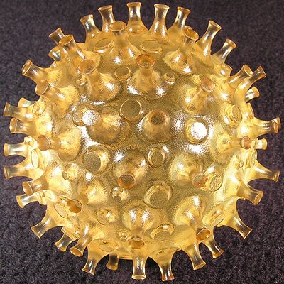 #59: Borovirus Complexor Size: 2.29 Price: $600