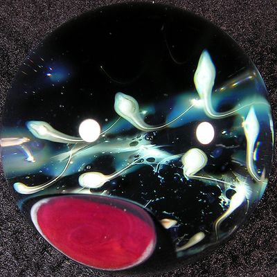 #2: Brain Storm Size: 1.36 Price: $110
