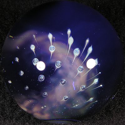 g13/17/390417/3/174905972.bca7368d.JPEG