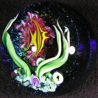 #24: Angelfish Fever Size: 2.08 Price: $390