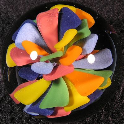 Circus Bloom 1 Size: 1.29 Price: SOLD