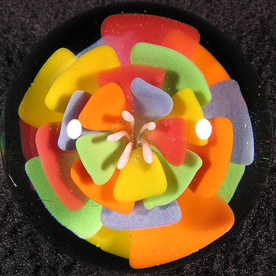 Circus Bloom 2 Size: 1.43 Price: SOLD