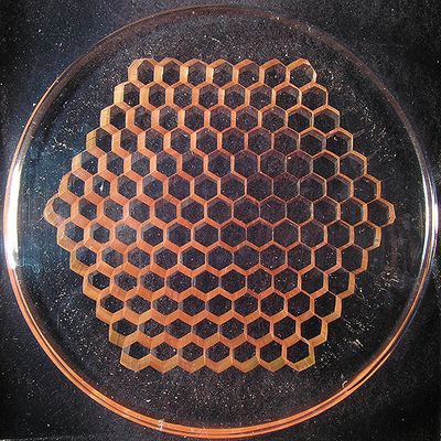 Huge Slice o' Comb Size: 2.17 x 0.21 27.5g Price: SOLD