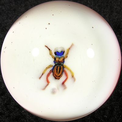 #122: Entomology 1 Size: 1.17 Price: $200
