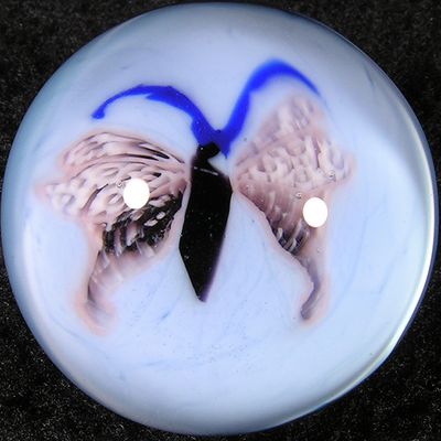 #123: Early Entomology 1 Size: 0.98 Price: $120