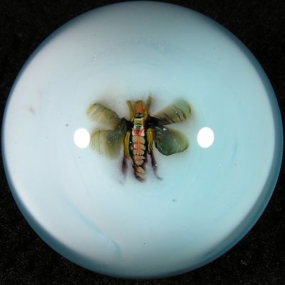 #124: Entomology 2 Size: 1.23 Price: $200