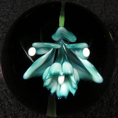 g13/17/390417/3/175896899.fe2ee0c2.JPEG