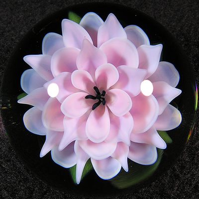 g13/17/390417/3/175896902.ca5b4b18.JPEG